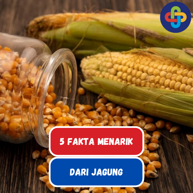 Mengenal 5 Fakta Menarik dari Jagung